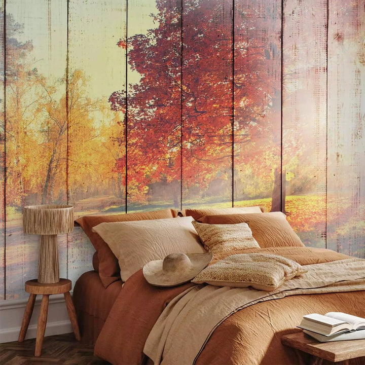 Fototapetes ar rudens mežu - Rudens Saule, rudens krāsās G-ART