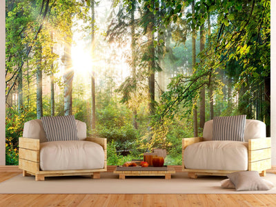 Wall Murals with sunny forest - Untamed Nature, 91566 G-ART