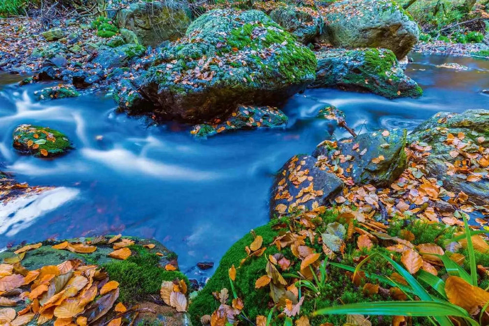 Fototapetes ar skaistu ainavu - Beļģijas Ardennes - kalna ūpe D-ART