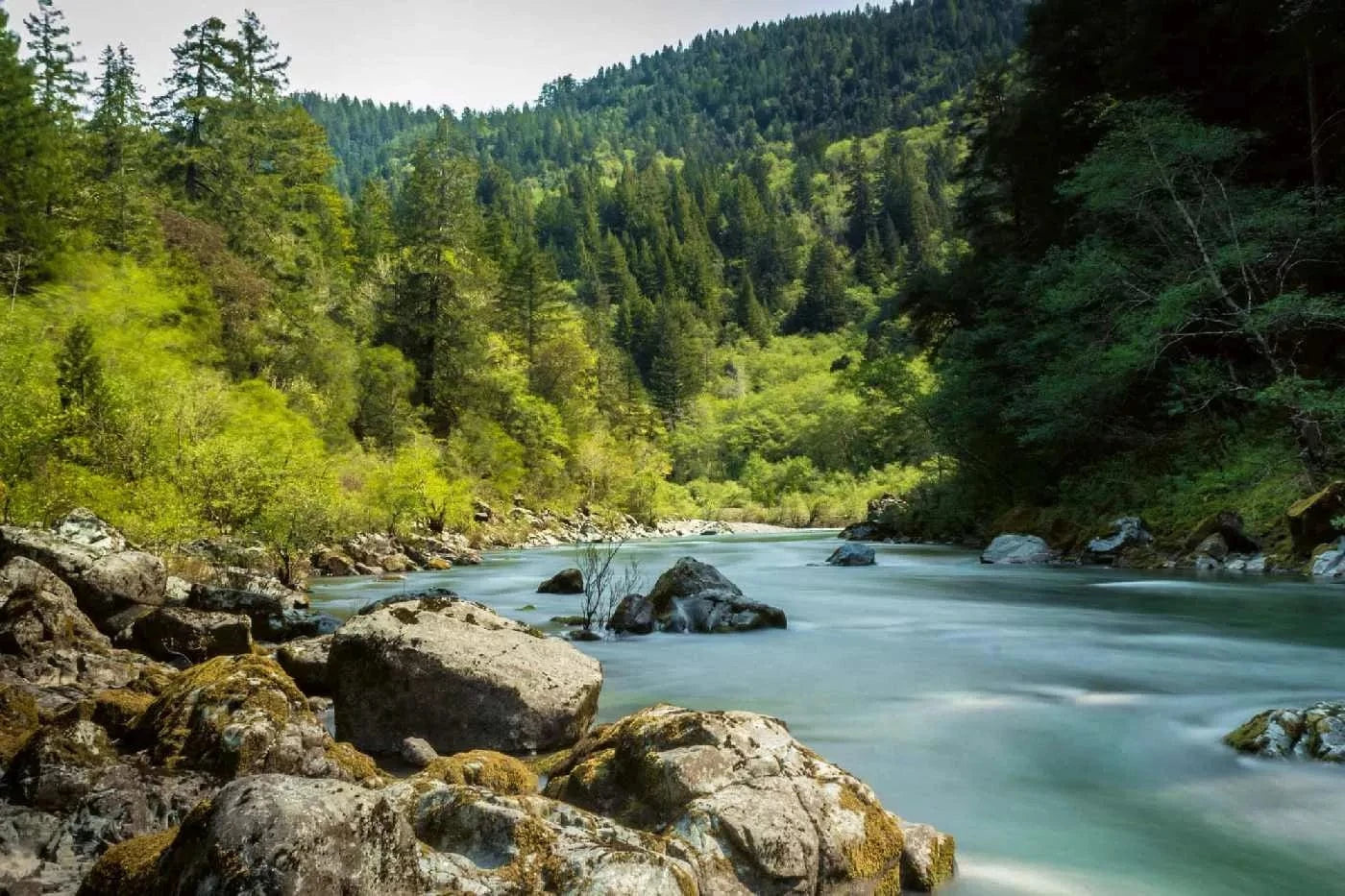 Fototapetes ar skaistu ainavu - Smita upe - zaļa mežā D-ART