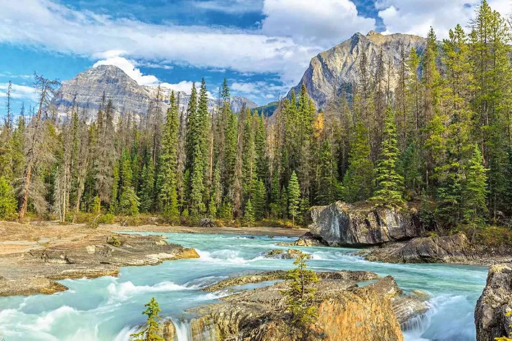 Fototapetes ar skaistu ainavu - Yoho nacionālais parks, kalni un mežs D-ART
