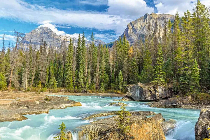 Fototapetes ar skaistu ainavu - Yoho nacionālais parks, kalni un mežs D-ART