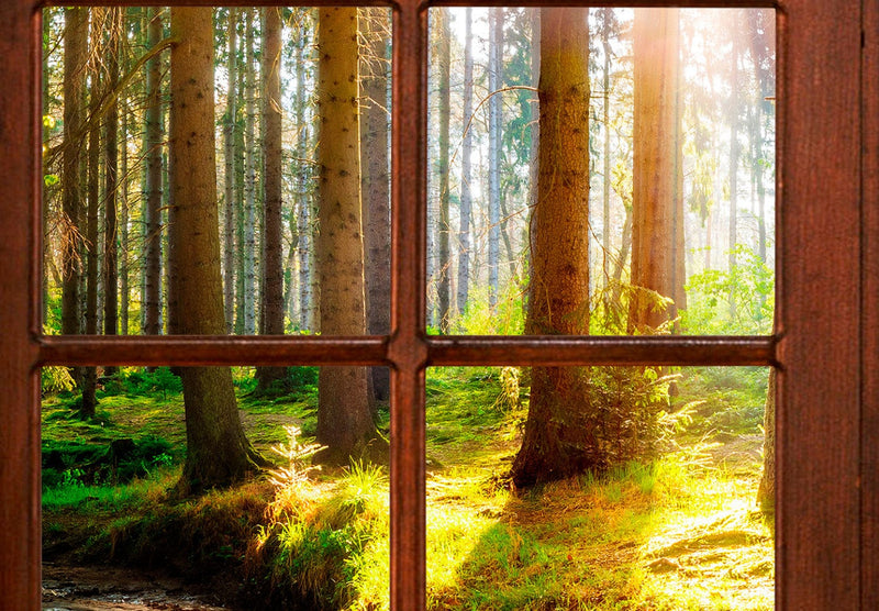 Fototapetes ar skaistu meža skatu un telpisku ilūziju - Meža terase, 123403 G-ART