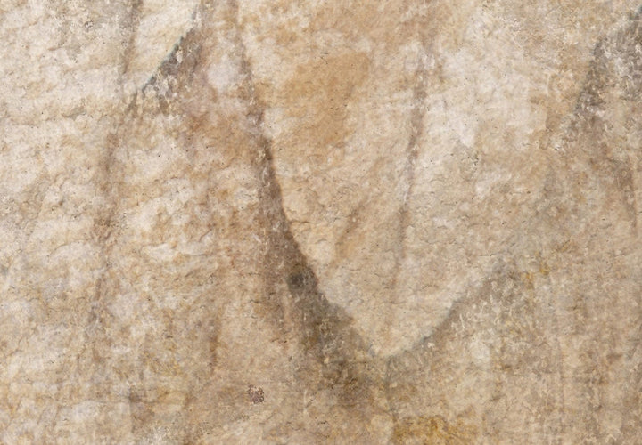 Fototapetes ar spalvas rakstu bēšos toņos - Ikarusa spārni - 142580 G-ART
