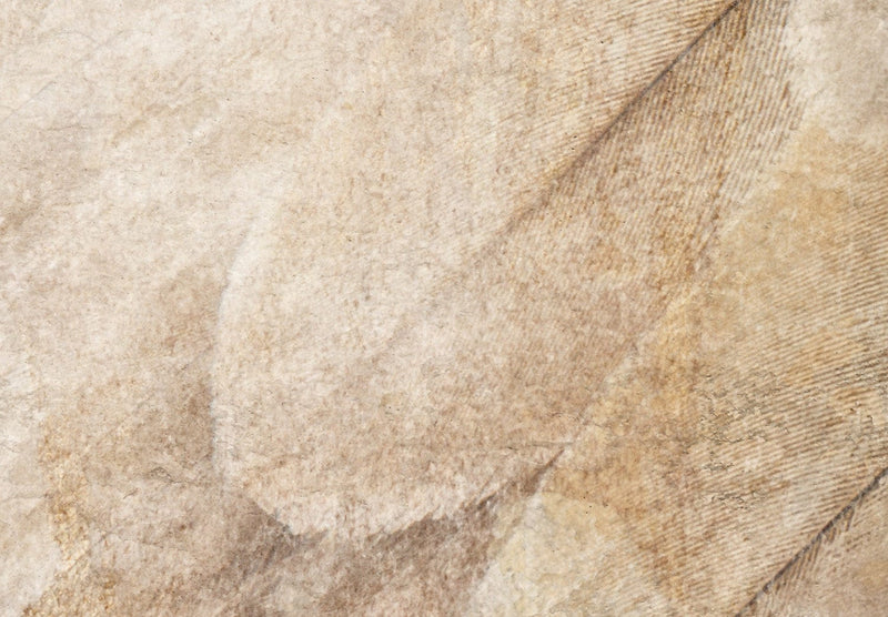 Fototapetai su smėlio spalvos plunksnų raštu - Ikaro sparnai, 142580 G-ART