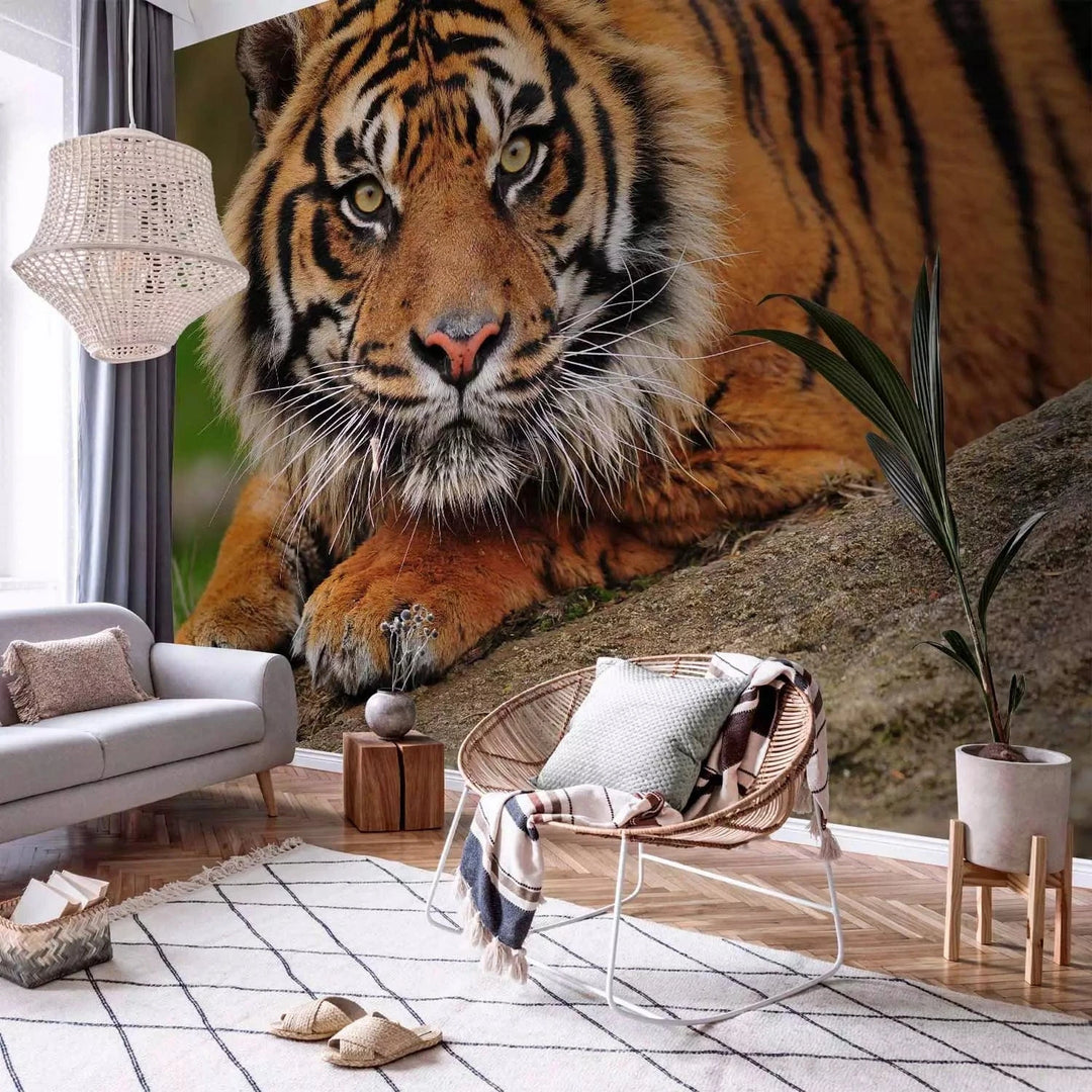 Fototapetes ar Sumatras tīģeri savvaļā - Ideāls variants guļamistabai G-ART