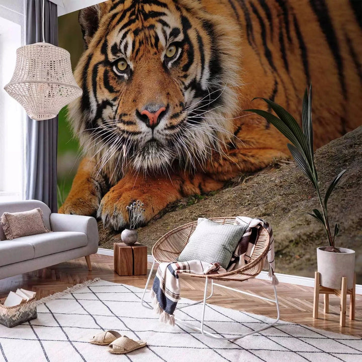 Fototapetes ar Sumatras tīģeri savvaļā - Ideāls variants guļamistabai G-ART