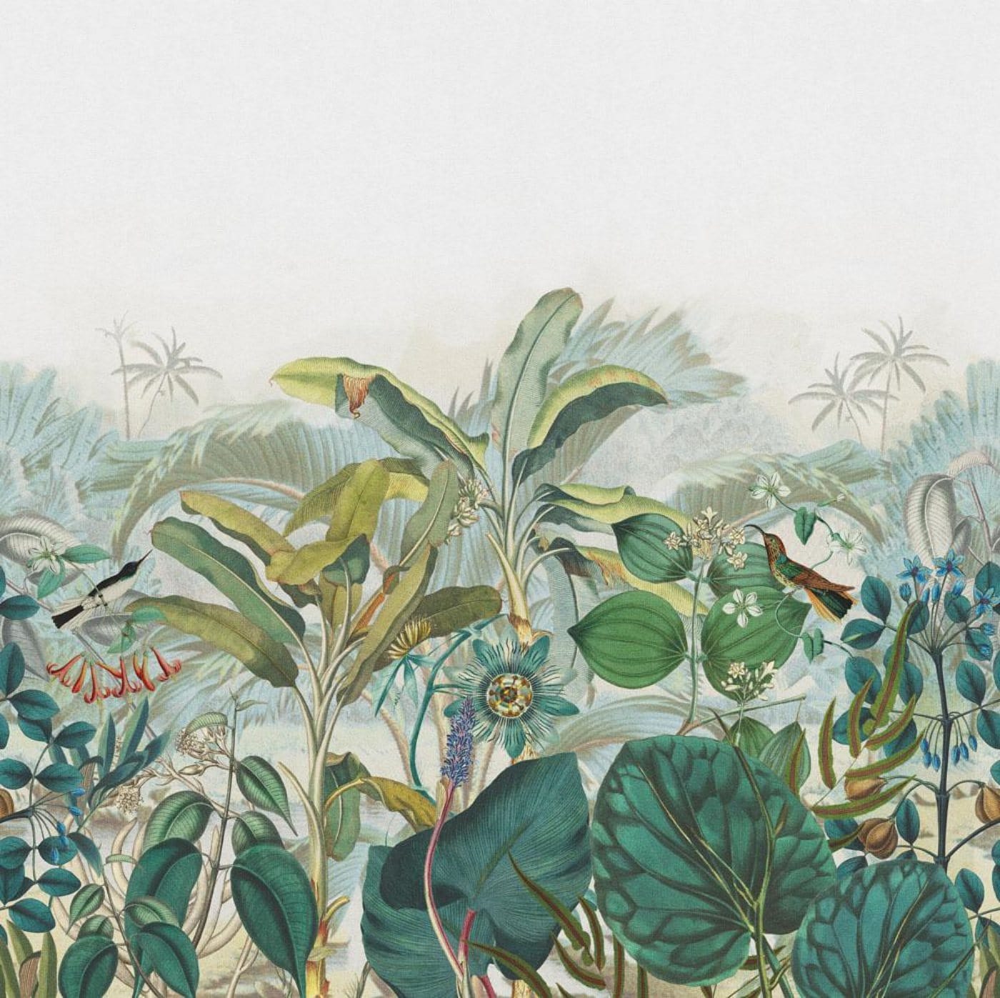Wall Murals