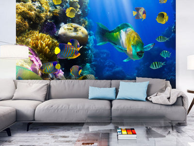Фотообои с тропическими рыбами и кораллами - Подводный рай, 60006 G-ART