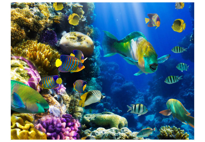Valokuvatapetti trooppisia kaloja ja koralleja - vedenalainen paratiisi, 60006 G-ART