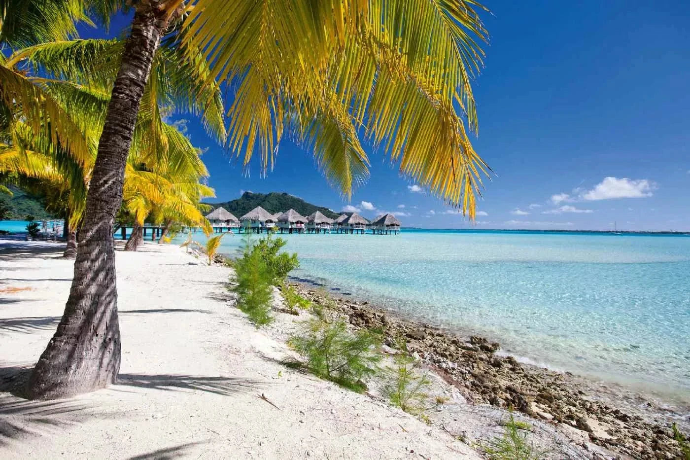 Fototapetes ar tropisko skatu - Pludmale Bora Bora salā, zila, zaļa D-ART