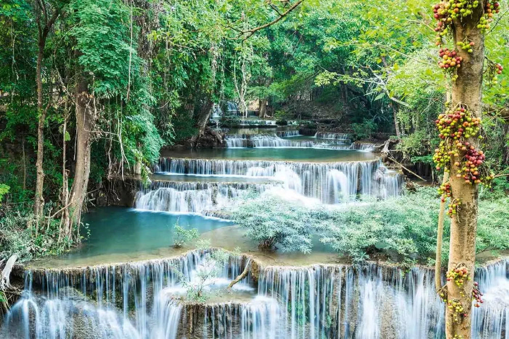 Fototapetes ar ūdenskritumu - Kanchanaburi ūdenskritumi, zaļā krāsā D-ART