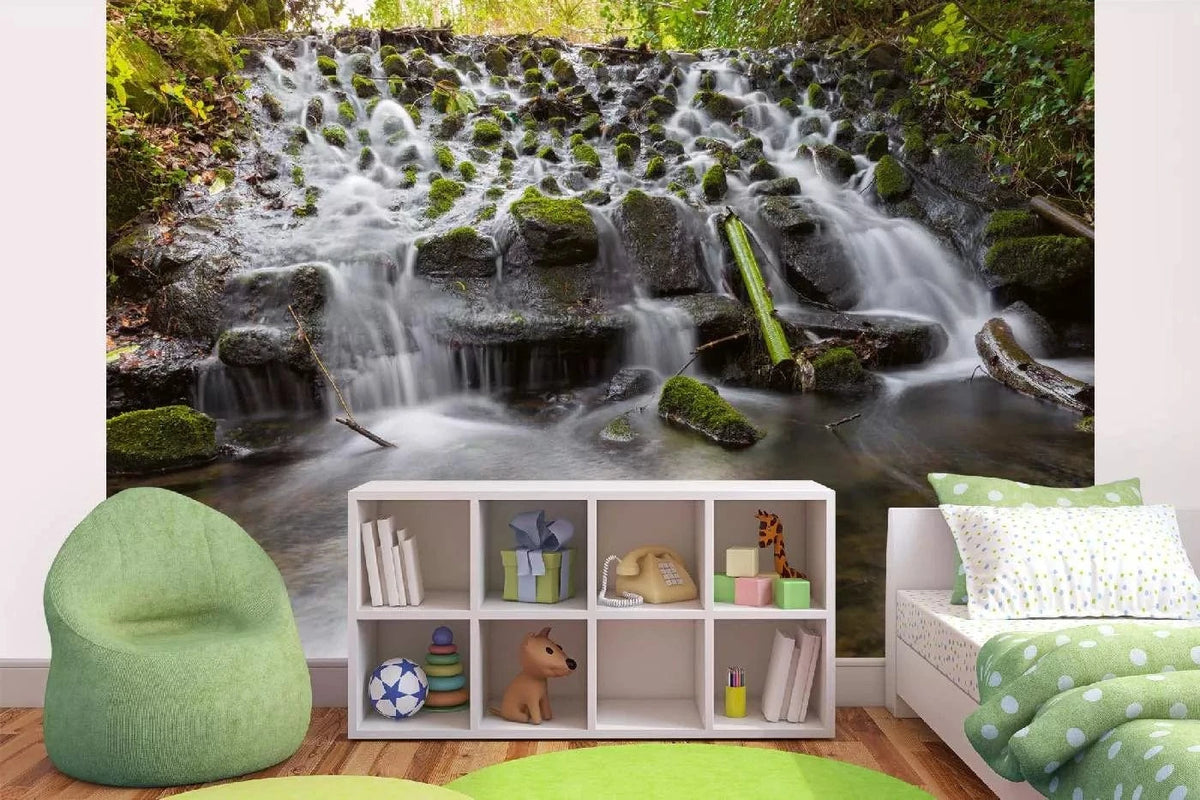 Wall Murals