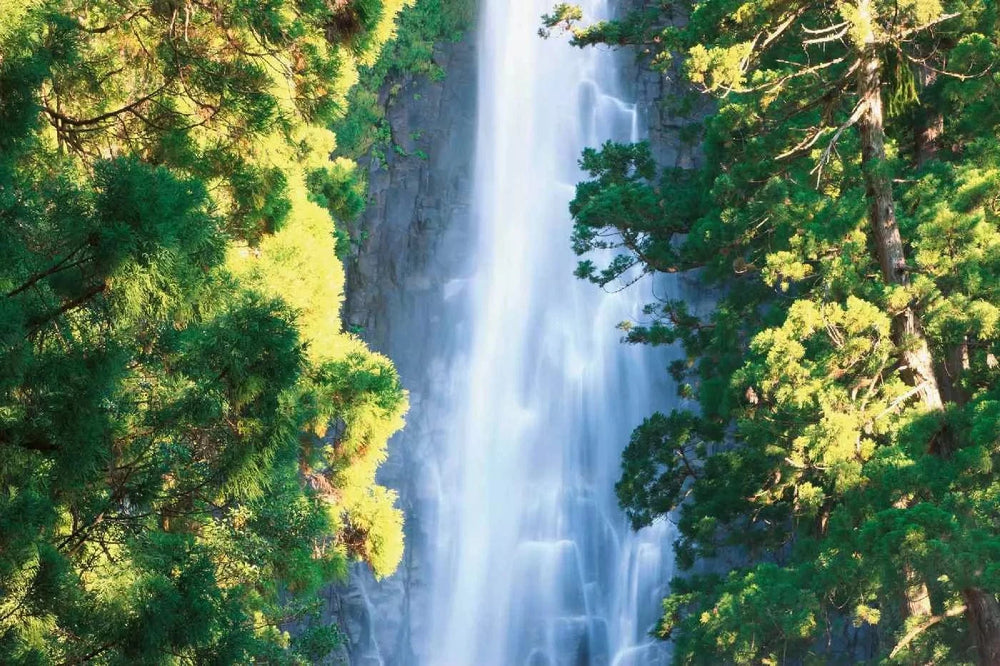 Fototapetes ar ūdenskritumu - Nachi ūdenskritums, 375x250 cm) D-ART