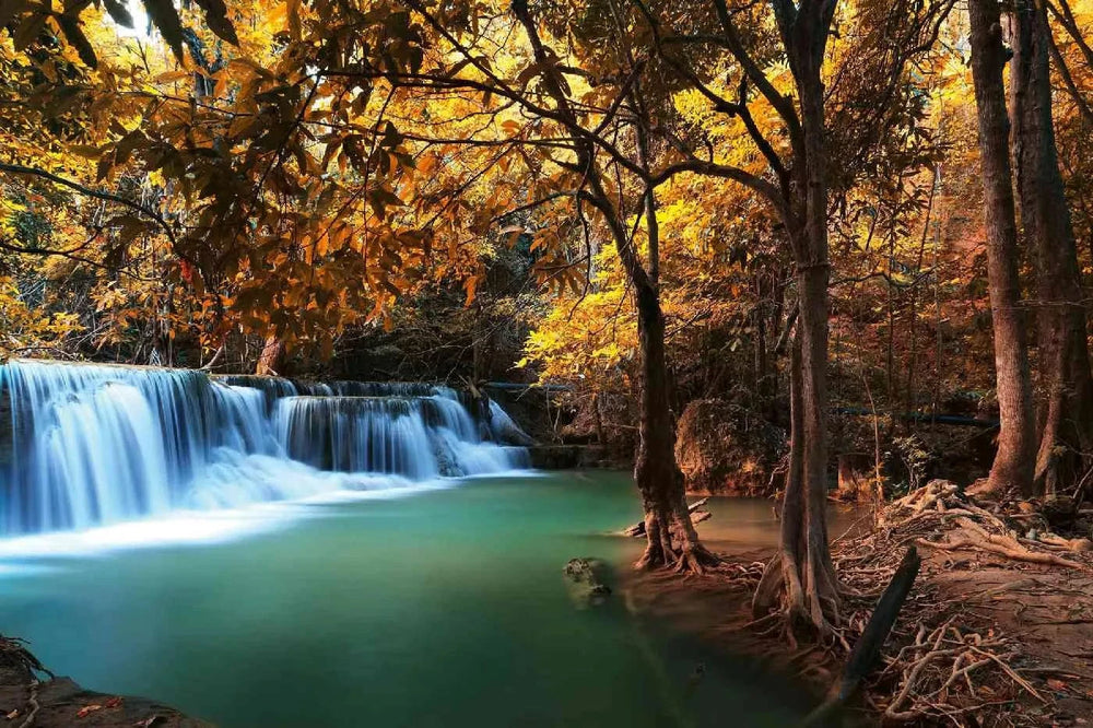 Fototapetes ar ūdenskritumu - Rudens krāsas, dzeltena, 375x250 cm D-ART