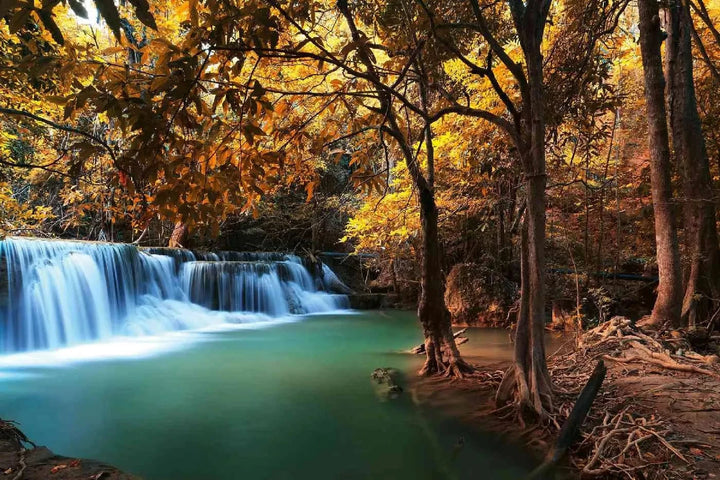 Fototapetes ar ūdenskritumu - Rudens krāsas, dzeltena, 375x250 cm D-ART