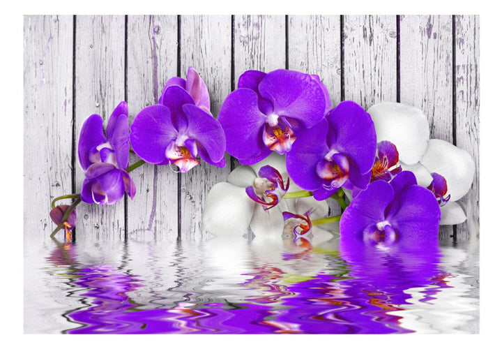 Fototapetes ar violetam orhidejām - Instinkti - 60317  G-ART