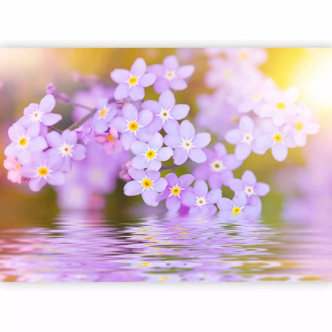 Fototapetes ar violetiem ziediem tuvplānā - viesistabai G-ART