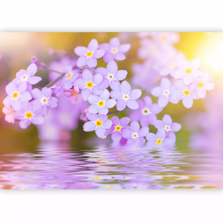 Fototapetes ar violetiem ziediem tuvplānā - viesistabai G-ART