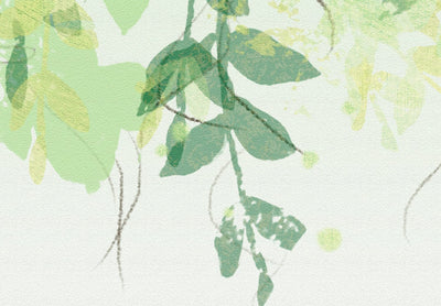 Фотообои с зелеными листьями на белом фоне, 142586 G-ART