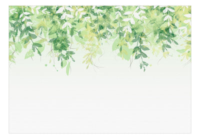 Wall Murals with green leaves on white background, 142586 G-ART