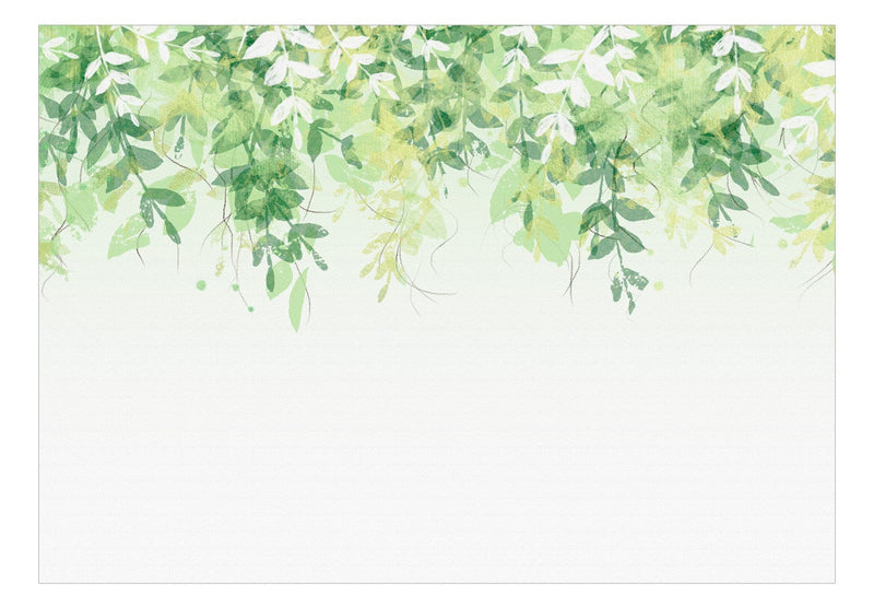 Fototapetai su žaliais lapais baltame fone, 142586 G-ART