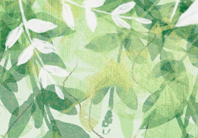 Фотообои с зелеными листьями на белом фоне, 142586 G-ART