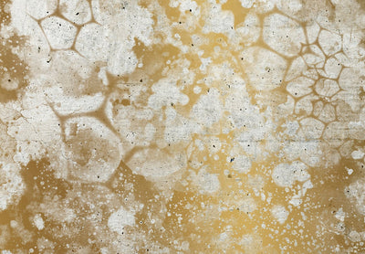 Wall Murals with gold abstract - Golden Bubbles, 142699 G-ART