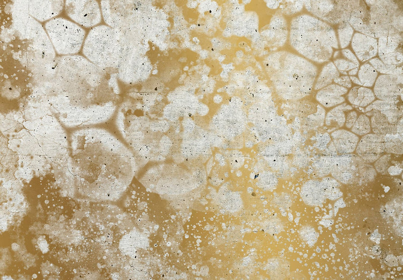 Wall Murals with gold abstract - Golden Bubbles, 142699 G-ART
