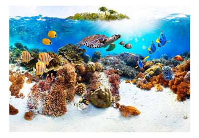Fototapetes ar zemūdens dzīvi - Koraļļu rifs, 59998 G-ART