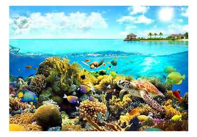 Fototapetes ar zemūdens dzīvi - Maldīvu salās, 97530 G-ART