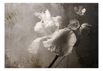 Fototapetes ar ziediem - Retro krāšņums, 137246 G-ART