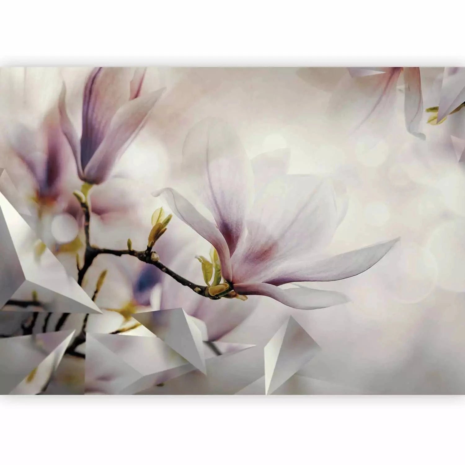 Fototapetes - Smalkās magnolijas bēšā krāsā - uz pasūtījumu G-ART
