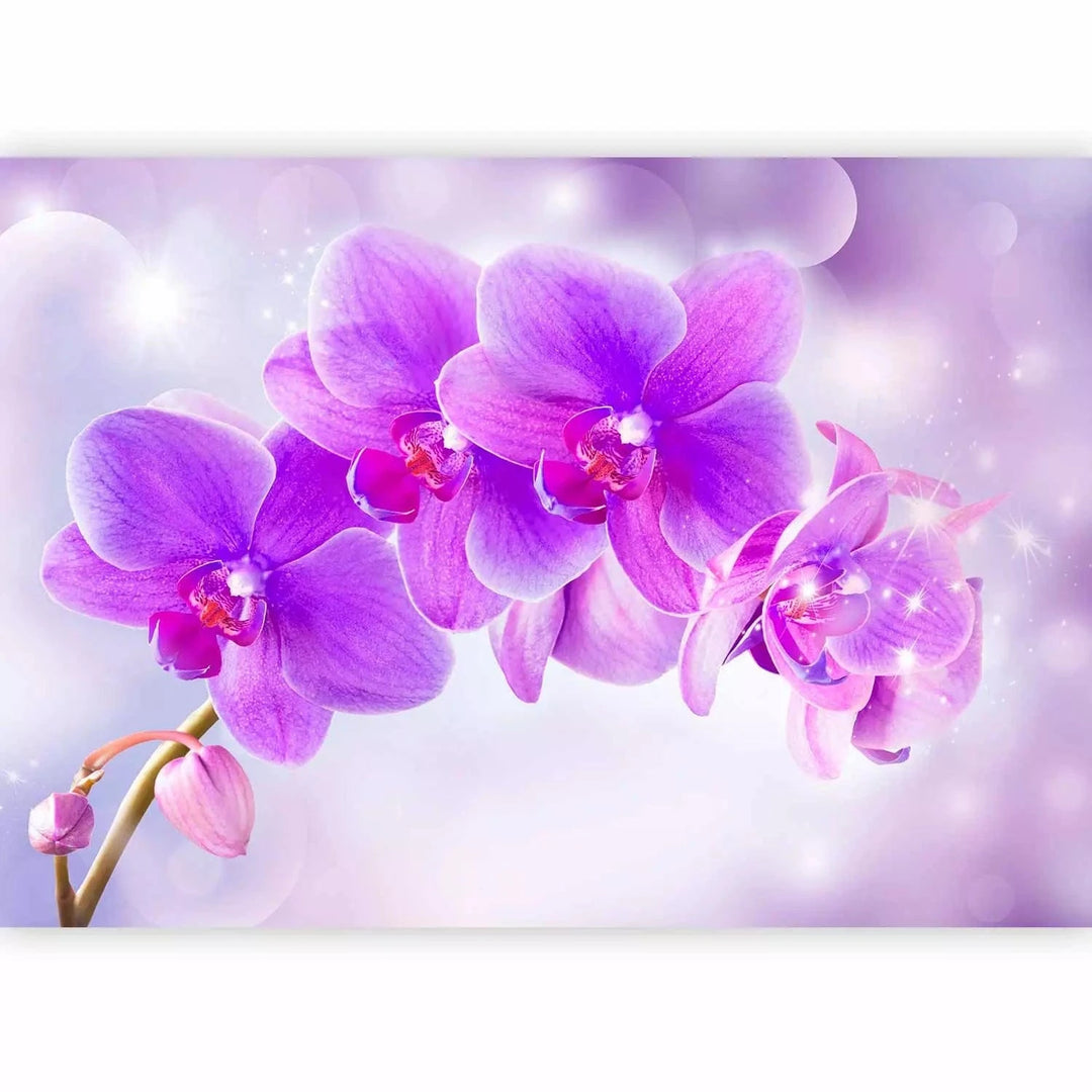 Fototapetes ar ziediem - Violetas orhidejas uz mirdzoša fona G-ART