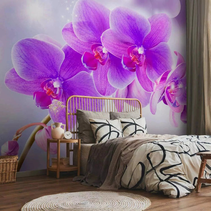 Fototapetes ar ziediem - Violetas orhidejas uz mirdzoša fona G-ART