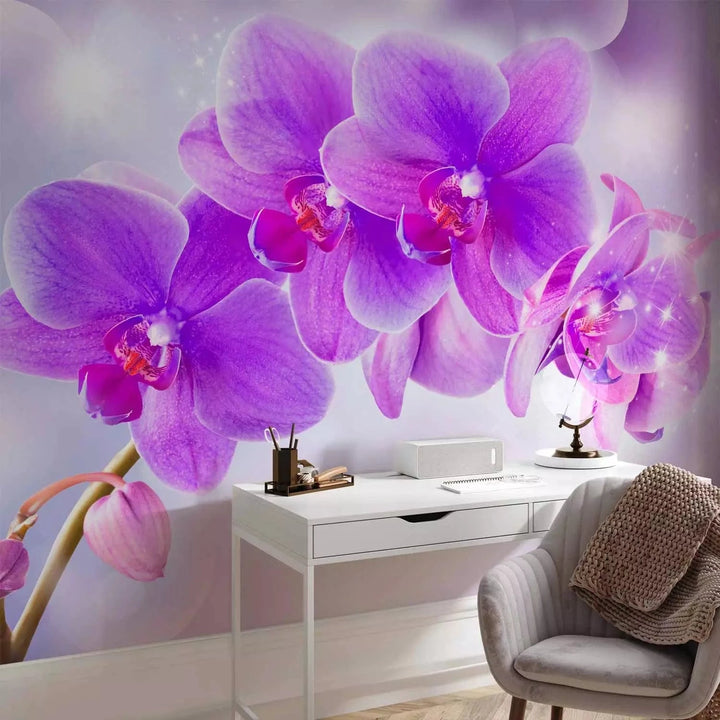 Fototapetes ar ziediem - Violetas orhidejas uz mirdzoša fona G-ART