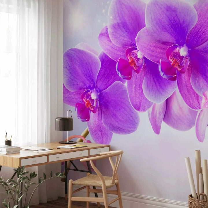 Fototapetes ar ziediem - Violetas orhidejas uz mirdzoša fona G-ART