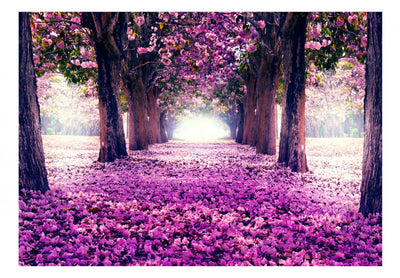 Fototapetes ar ziedu aleju violetos toņos - Ziedu ceļš, 60407 G-ART