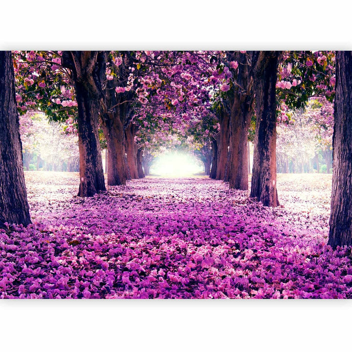 Fototapetes ar ziedu aleju violetos toņos - Ziedu ceļš - 60407  G-ART