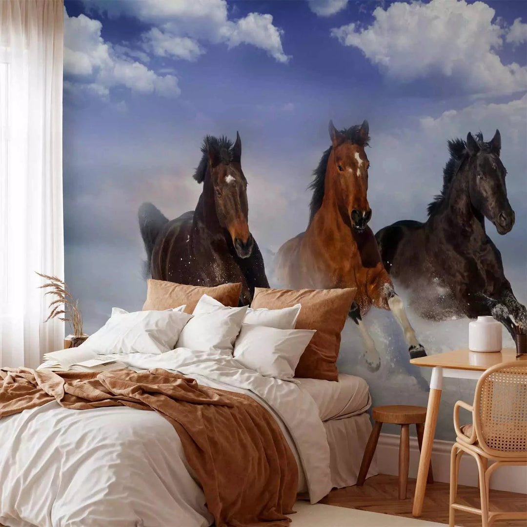 Fototapetes ar zirgiem - Zirgi pirmajā sniegā, uz zila fona G-ART