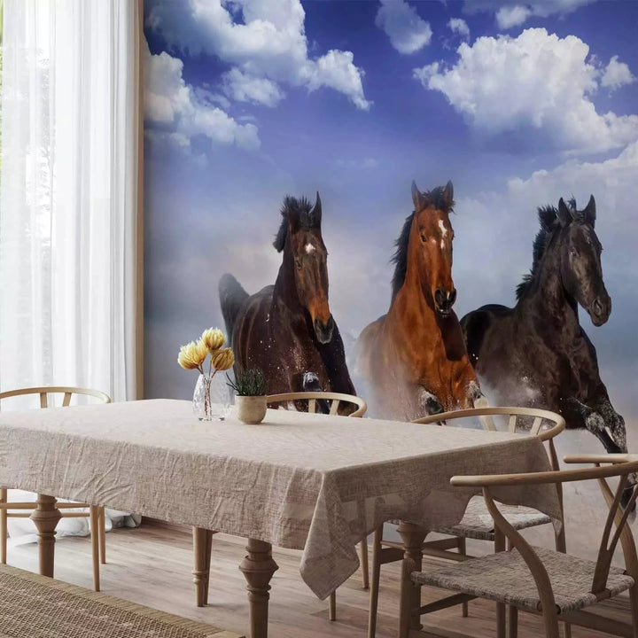 Fototapetes ar zirgiem - Zirgi pirmajā sniegā, uz zila fona G-ART