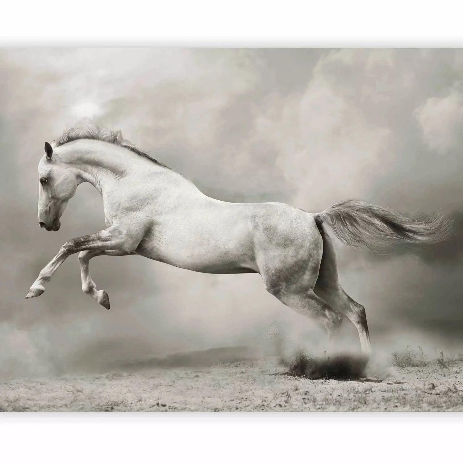 Fototapetes - Balts lecošs zirgs uz smiltīm starp pelēkiem dūmiem G-ART