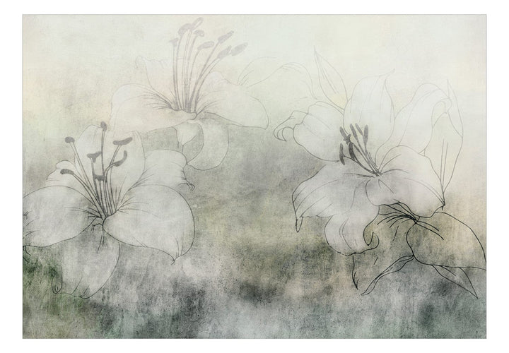 Fototapetes - Baltas lilijas uz pieklusināta zaļa fona - 149249 G-ART