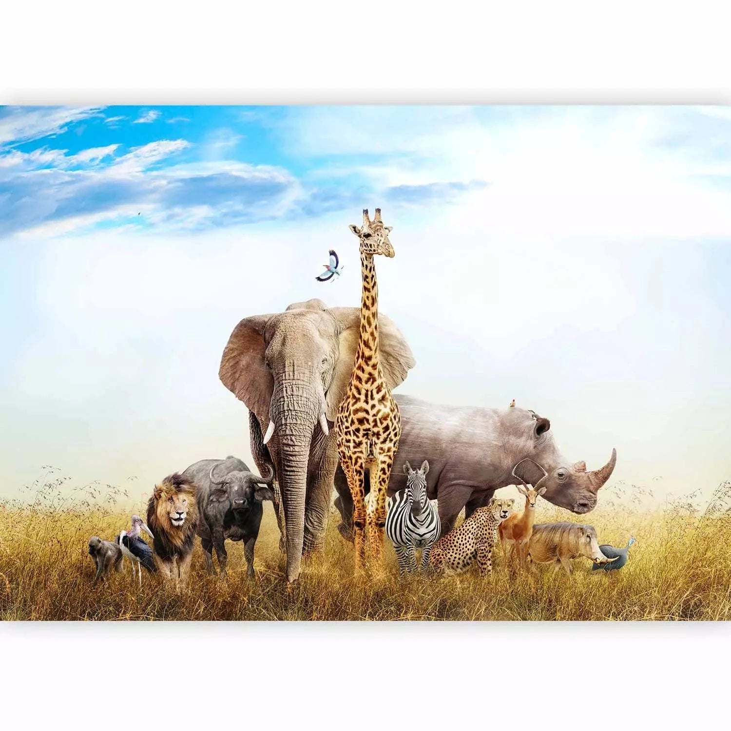 Fototapetes bērnistabai ar dzīvniekiem - Āfrikas fauna - 113809 G-ART