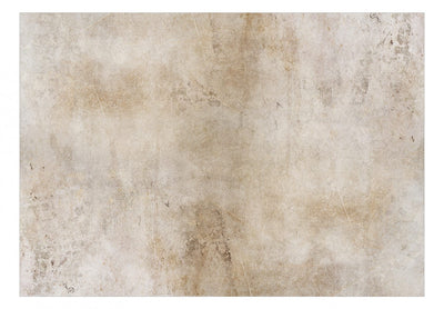 Fototapetes - Bēšs abstrakts fons siltos toņos, 143810 G-ART