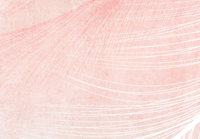 Fototapetes Dabas aizkars - rozā putnu spalvas boho stilā, 143789 G-ART