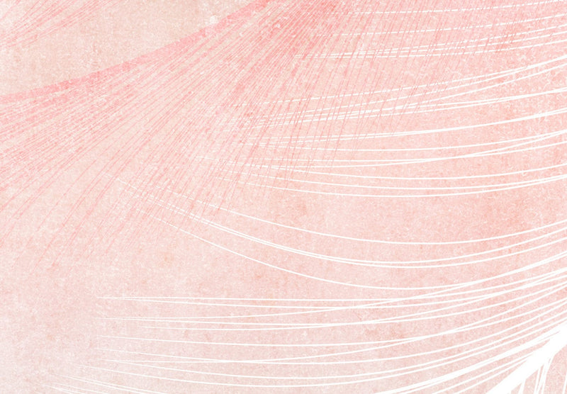 Fototapetes Dabas aizkars - rozā putnu spalvas boho stilā, 143789 G-ART