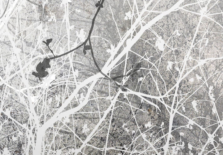 Melnbaltas fototapetes ar koka zariem G-ART