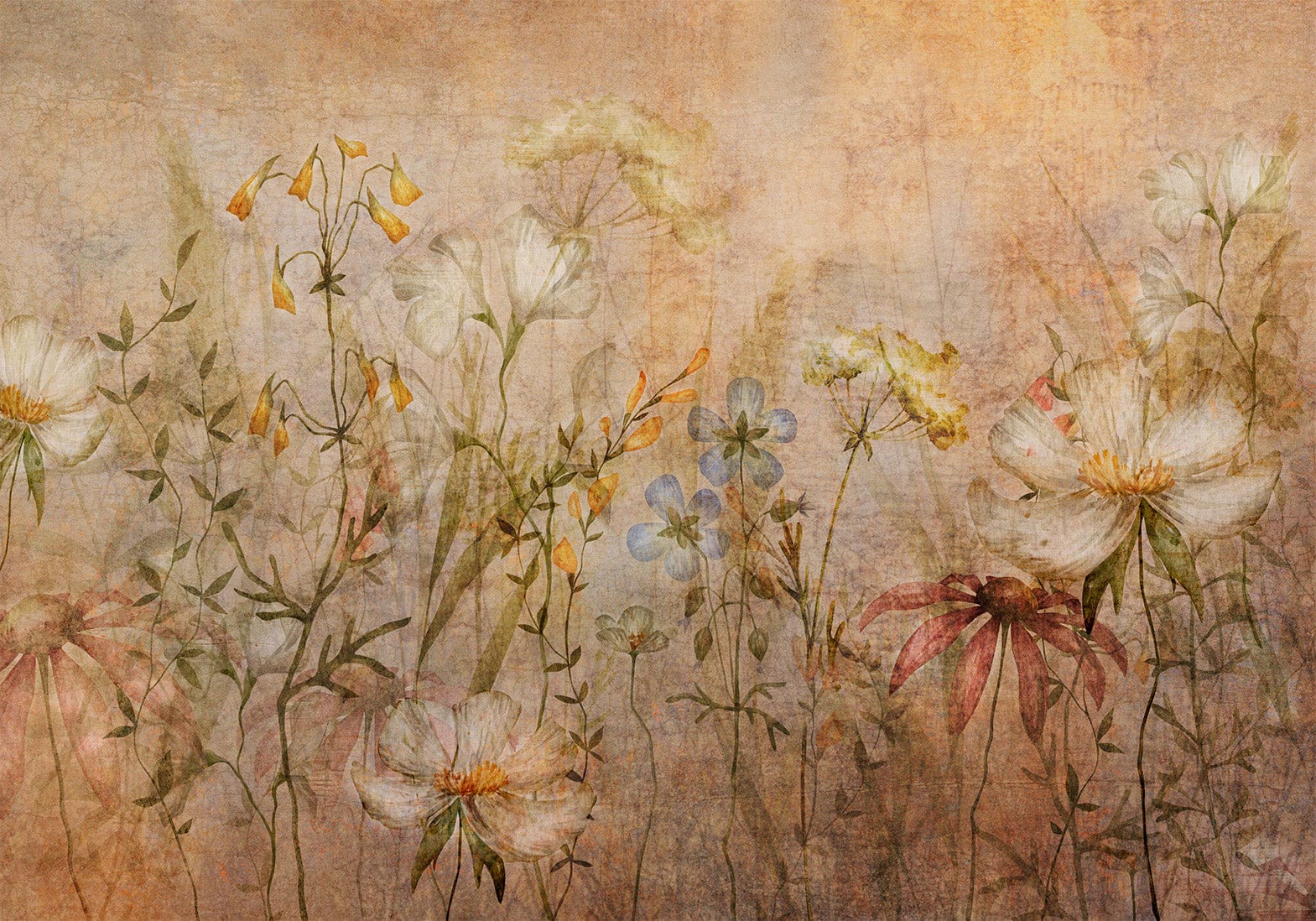 Fototapetes - Delikāti ziedi | krāšņa pļava ar savvaļas ziediem, brūnā G-ART