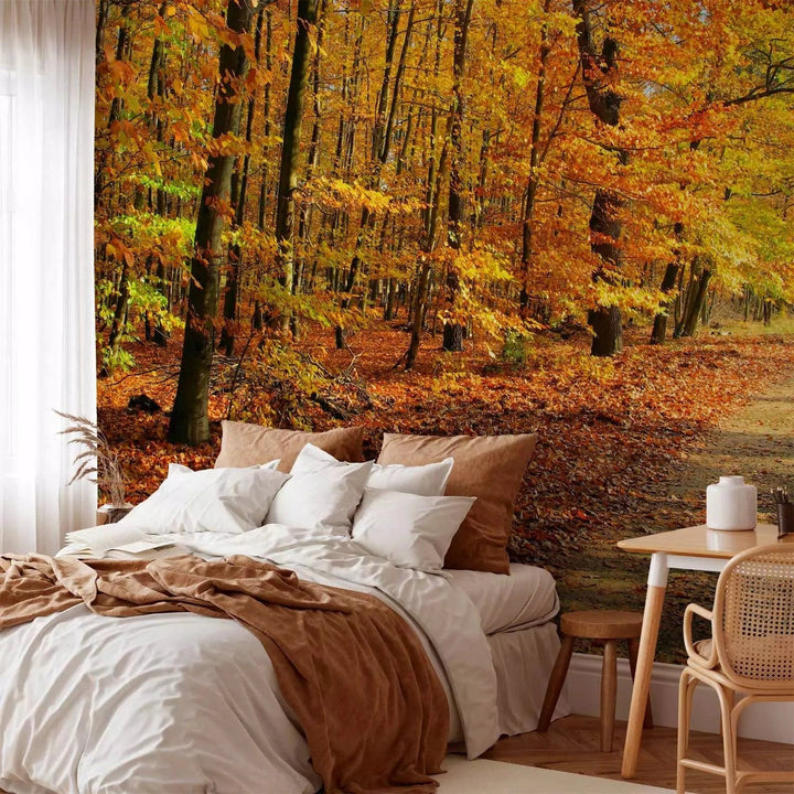 Fototapetes ar rudens dižskābaržu mežu - rudens krāsās G-ART
